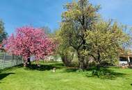 Großzügig geschnittenes Haus mit vielfältigem Obstgarten | 2 Grundstücke, 6 Zimmer, 4 PKW-Stellplätze | Naturteich, Terrasse | Am Naherholungsgebiet Zayawiesen