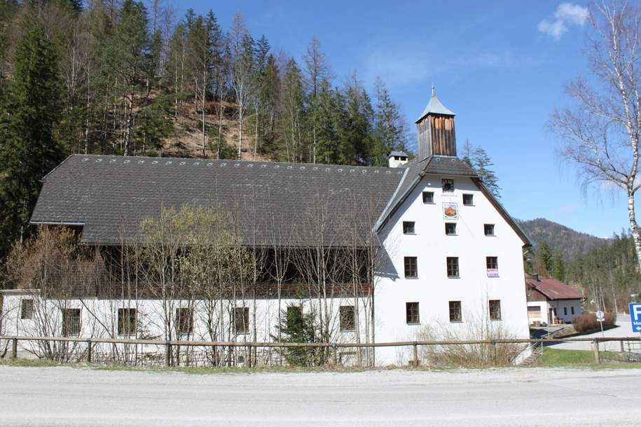 Büro, Seminar, Wohnen, in Wunderschöner Landschaft!, Gewerbeobjekt-kauf, 8924 Liezen