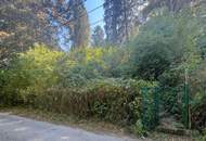 2.008 m² Baugrundstück mit bewilligtem Doppelhausprojekt im Augustinerwald
