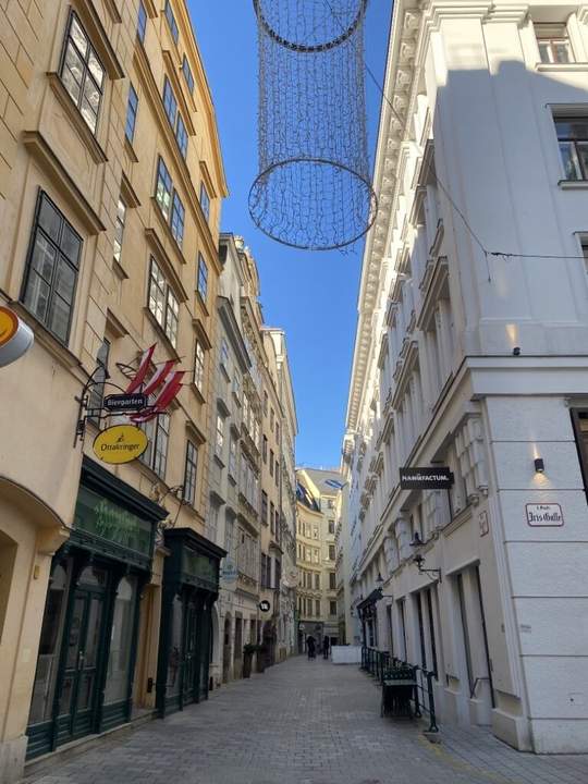 Grabennähe! Dachmaisonette mit bezaubernden Dachgarten in denkmalgeschütztem Barockhaus!