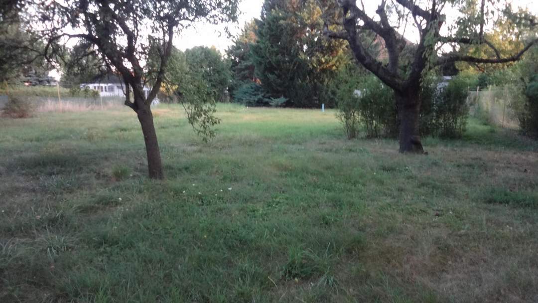 Gelegenheit mit Altbestand, Grundstück mit reduziertem Fixpreis!!!