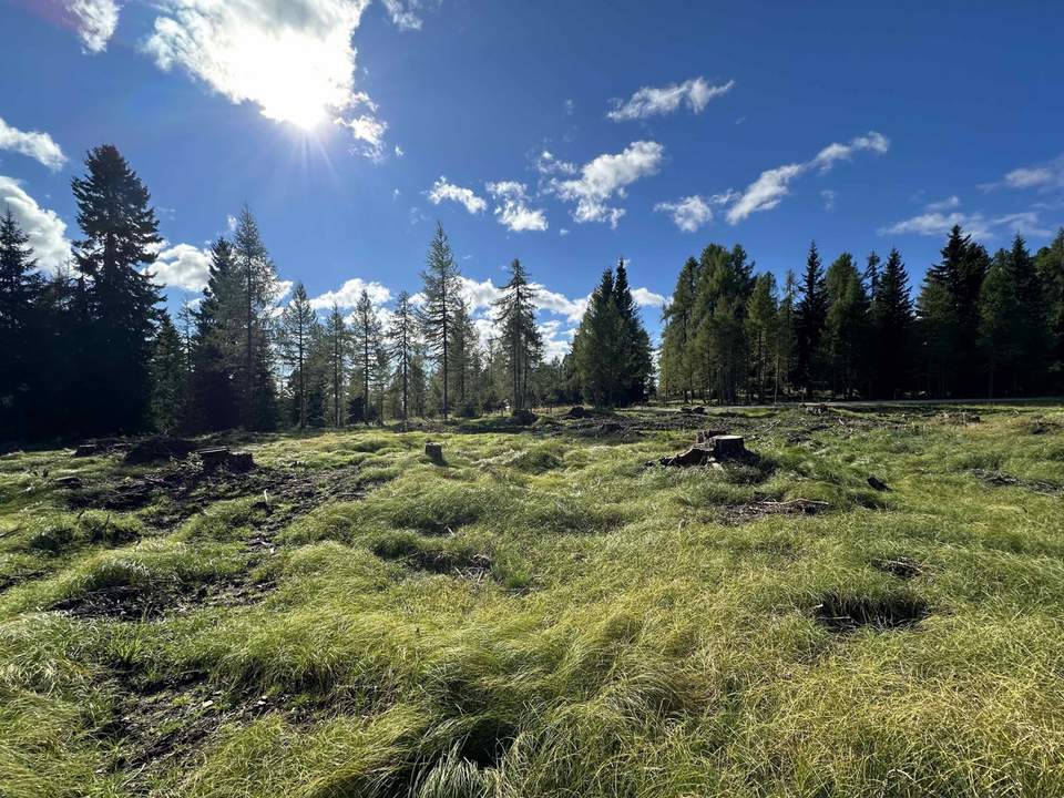 Großes und sonniges Grundstück ideal für Investoren im Feriengebiet am Hochrindl