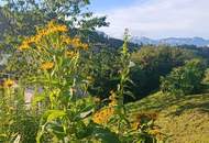 Landhaus mit viel Natur und traumhaftem Bergpanorama !