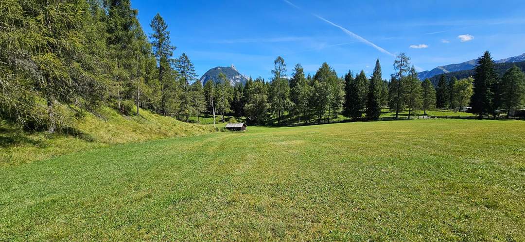 Naturnah investieren: Landwirtschafts- und Waldfläche!