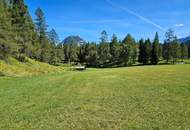 Naturnah investieren: Landwirtschafts- und Waldfläche!