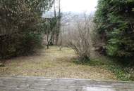 Charmantes Ferienhaus in ruhiger Waldrandlage – Ihr Rückzugsort inmitten der Natur