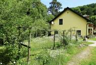 Landwirtschaftliches Anwesen mit angeschlossenem Wald und Agrarflächen