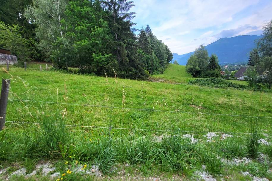 NEUER PREIS!!! Großgrundstück Bauland/Freiland, Grund und Boden-kauf, 99.000,€, 8904 Liezen