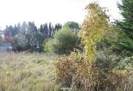 Vom Traum zum Zuhause – 821 m² Lebensfreude in Steinhaus - Grundstück mit vielen Möglichkeiten