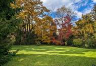 Perfekt für Aktive: Zwei Terrassen, Kahlenbergblick & Donauinsel-Nähe