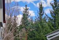 Ruhepol im Grünen: Freistehendes Einfamilienhaus (Genossenschaft)