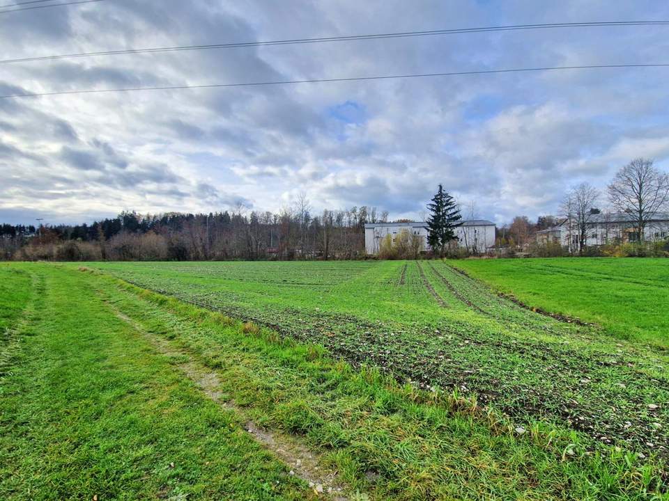 landwirtschaftlicher Nutzgrund