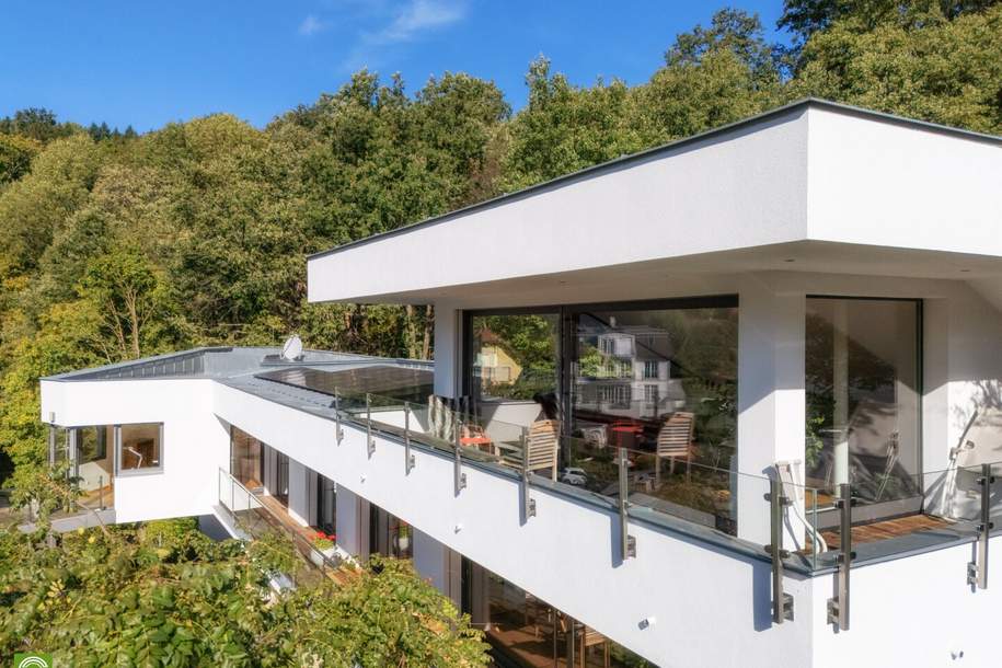 CHRISTOPH CHROMECEK IMMOBILIEN - KALTENLEUTGEBEN - Einmaliges Anwesen in Bestlage am Südhang!, Haus-kauf, 3.900.000,€, 2391 Mödling