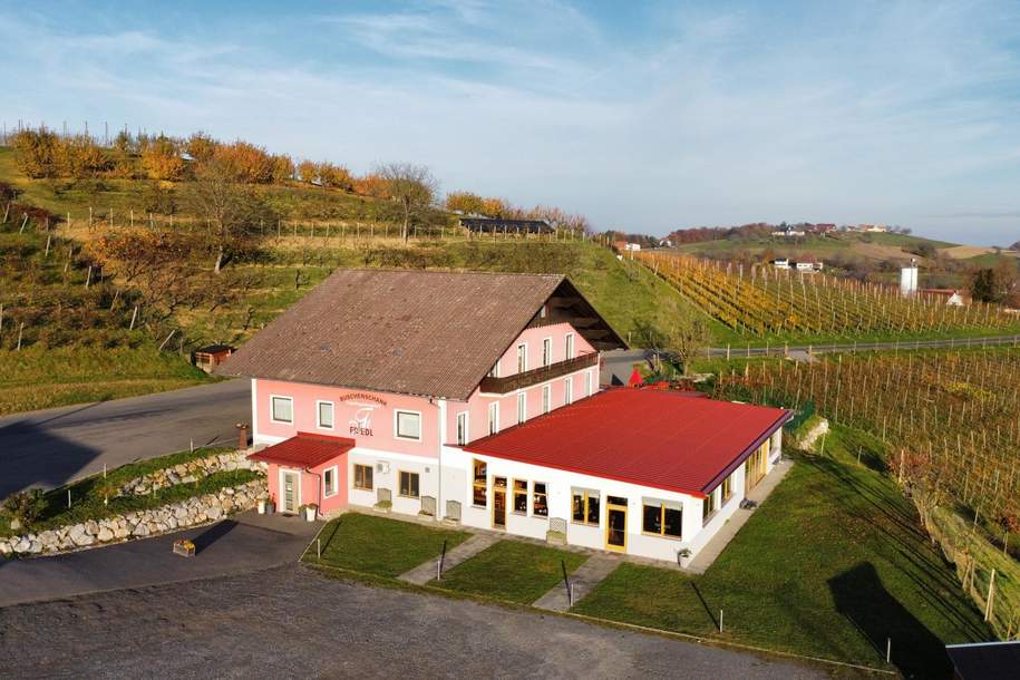 Großes Haus für Visionäre in Aussichtslage (Buschenschank, Weingärten), Gewerbeobjekt-kauf, 975.000,€, 8333 Südoststeiermark