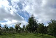 PREIS - LEISTUNG - UNSCHLAGBAR - Gepflegtes Einfamilienhaus zum fairem Preis - Koffer packen und einziehen - LEGEN SIE IHR ANGEBOT