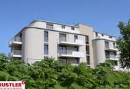 **NEUBAU & ERSTBEZUG** Helle Neubauwohnungen direkt an der Traisen