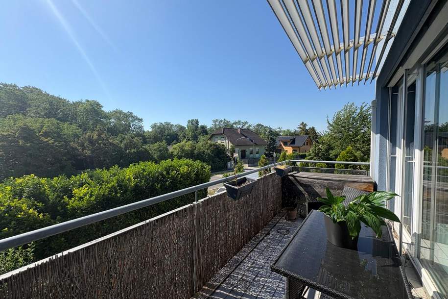 "WOHNgefühl mit Qualität!", Wohnung-kauf, 315.000,€, 2482 Mödling