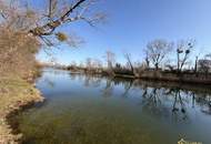 TOP PREISAKTION! KAMIN, HOLZ-ALU-FENSTER. BEHEIZTER KELLER. PROVISIONSFREI für den Käufer.