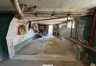 Sonniges großes Grundstück mit sanierungsbedürftigem Haus