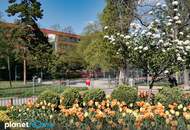 Renovierungsbedürftige 2-Zimmer-Wohnung beim Meidlinger Markt