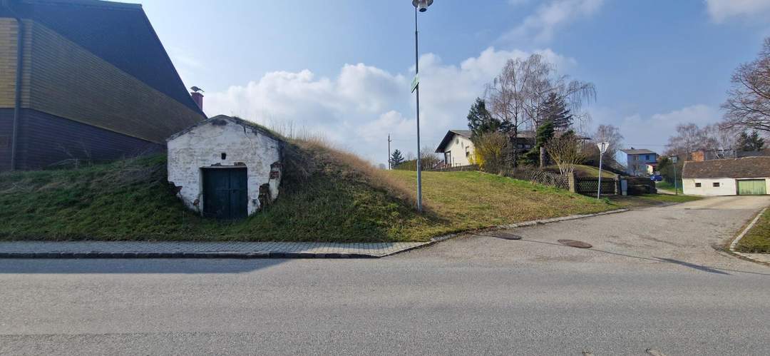 Großzügiges Grundstück und Weinkeller