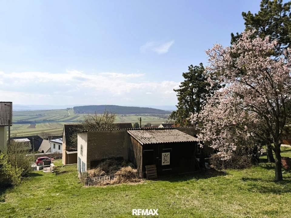 Traumhafte Hanglage am Leithaberg – Baugrundstück in Großhöflein