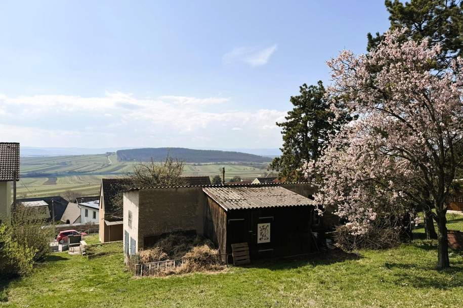 Traumhafte Hanglage am Leithaberg – Baugrundstück in Großhöflein, Haus-kauf, 260.000,€, 7051 Eisenstadt-Umgebung