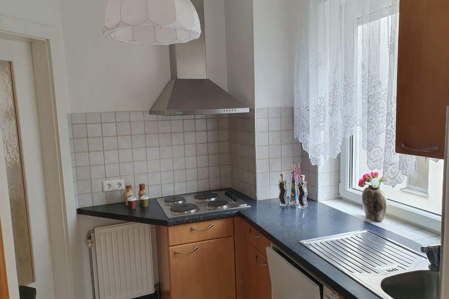 ***Singlehit*** 1- Zimmerwohnung mit Garagenstellplatz und Kellerabteil in ruhiger Lage am Wilhelminenberg!, Wohnung-kauf, 229.000,€, 1160 Wien 16., Ottakring