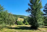 RARITÄT - IDYLLE PUR!! LANDHAUS MIT AUSBLICK IN SONNIGER RUHELAGE
