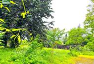 Bauträger aufgepasst - ca. 1.750m² erzielbare Neubau-Wohnnutzfläche!