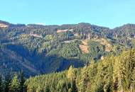 155 Hektar Forst- und Jagdrevier im Bezirk Wolfsberg