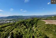 TRAUMGRUNDSTÜCK AM KLAUSGRABEN | Langenzersdorf | BAUGRUND