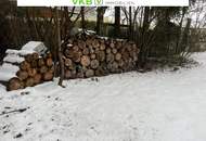 Attraktive Bauparzelle in Spattendorf! – Gemeinde Alberndorf in der Riedmark (GST 2438/2, 2437/3)