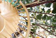 Ein prachtvoller Wintergarten bietet eine ganzjährige Verbindung zur Natur - großes Einamilienhaus in begehrter Lage in St. Pölten (Wagram)