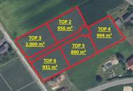 Noch 5 Baugrundstücke an einer Sackgasse in sehr ruhiger Lage mit Ganztagssonne und anteiliger Wegeanlage