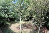 Sehr viel Platz im Haus und Garten - Nähe Naturpark Leiser Berge