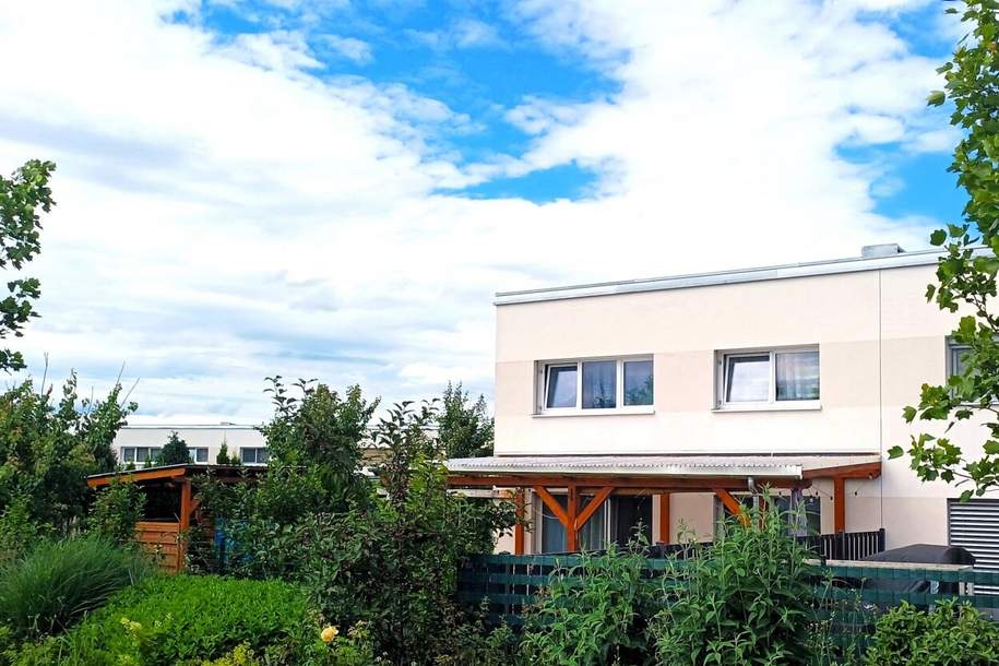 TOP - Doppelhaushälfte zum TOP-Preis in absolut ruhiger, hochwasserfreier Lage von Traismauer!, Haus-kauf, 399.000,€, 3133 Sankt Pölten(Land)