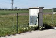 979m² Traumgrundstück: Bestlage in Leopoldsdorf