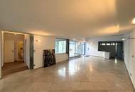 Modernes Atelier, Loft, Dachterrasse im Neunzehnten // Modern Studio, loft, roof terrace in the nineteenth //