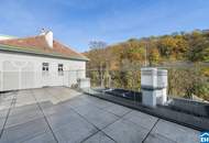 Vermietete Wohnung mit Dachterrasse in Grinzing!