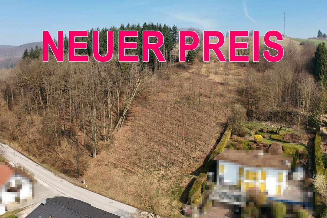 Sonniges Baugrundstück auf Südwest-Lage im Irenental