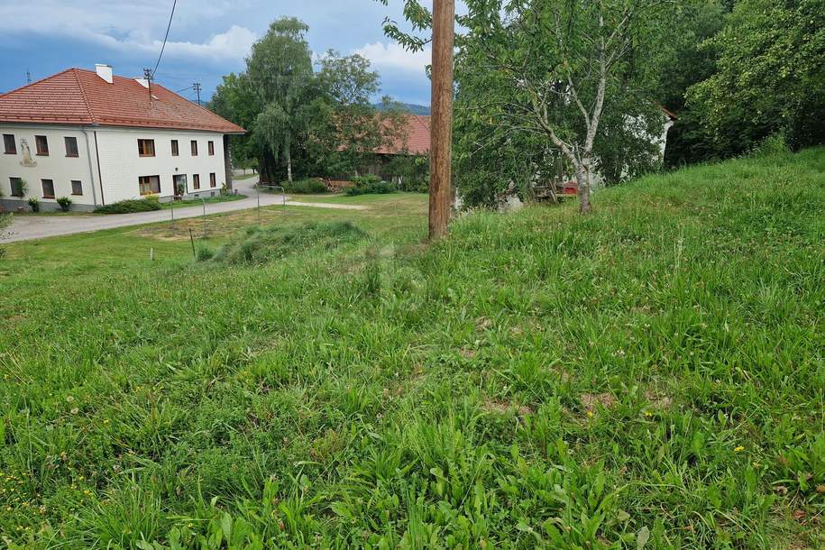 IN SCHÖNER SONNIGER RUHELAGE OHNE BAUSTRESS!, Grund und Boden-kauf, 4675 Grieskirchen