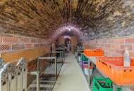 WOHNEN UND ARBEITEN IN EINEM - EXKLUSIVE WOHNUNG MIT DACHTERRASSE & WEINKELLER/LOKAL!