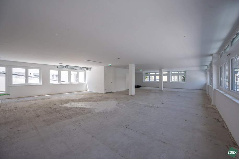Erstbezug: Moderne Bürofläche in Hietzinger Bestlage, Gewerbeobjekt-miete, 11.320,47,€, 1130 Wien 13., Hietzing