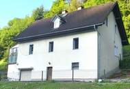Einfamilienhaus mit Potential, Nebengebäude, Carport und großem Grundstück!