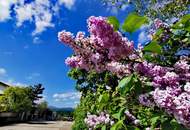 PRIVATVERKAUF ! TRAUMBUNGALOW IN SONNIGER GRÜNRUHELAGE IN ENZESFELD (Provisionsfrei)