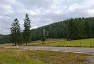 FERN VON DER HEKTIK AUF DER FLATTNITZ