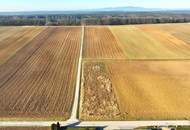 Gewerbegrundstück: Bauland-Industriegebiet in Oberschützen - Der Platz für Ihren Erfolg!