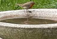 Großzügiges Anwesen nahe Graz – ideal für Wohnen, Arbeiten oder Mehrgenerationenhaus auf 2.000 m² Grundfläche (Provisionsfrei)