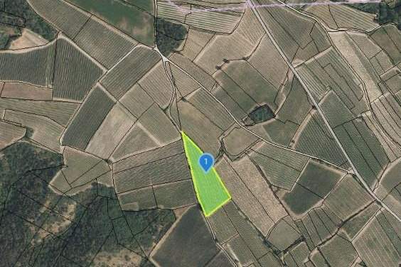 GUT BEWIRTSCHAFTETER WEINGARTEN IN HERRLICHER LAGE - WEINGARTEN, LANDWIRTSCHAFTLICHE FLÄCHEN - KEIN BAUGRUNDSTÜCK!, Grund und Boden-kauf, 47.415,€, 3550 Krems(Land)